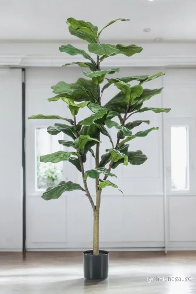 Ficus Lyrata konstväxt h125cm, Ø14cm