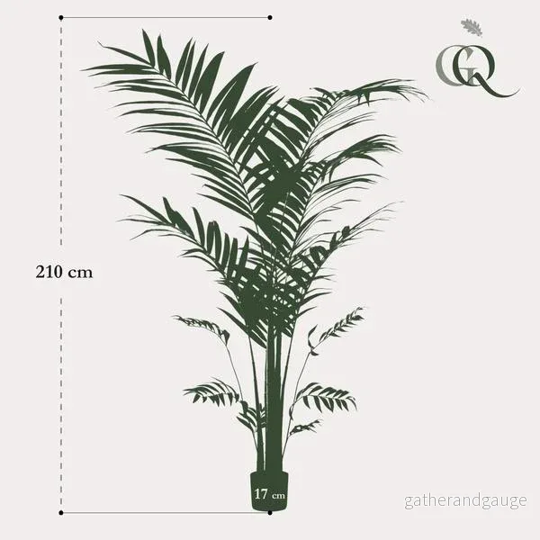 Konstplanta - Kentia -Kentiapalm - 210cm - Bild 3