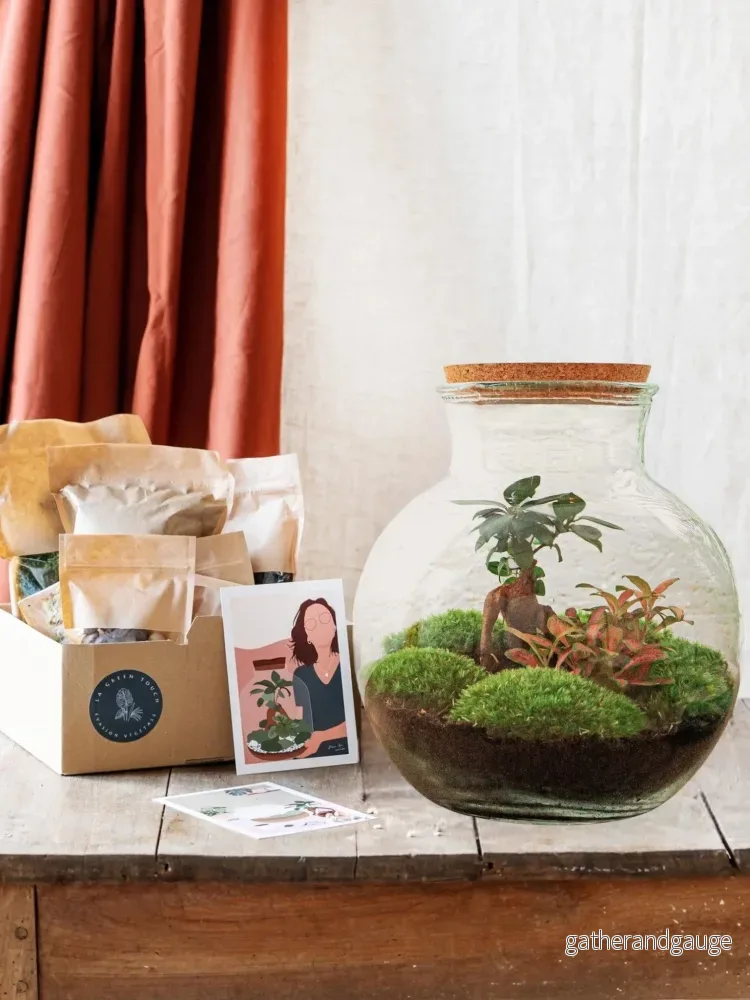 DIY Terrarium Kit – TEDDY DIY Terrarium Kit – TEDDY