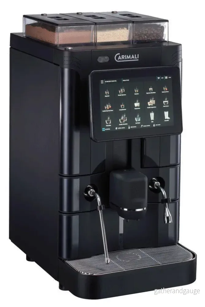 Carimali Silver Ace Plus (Hyra) - Bild 2