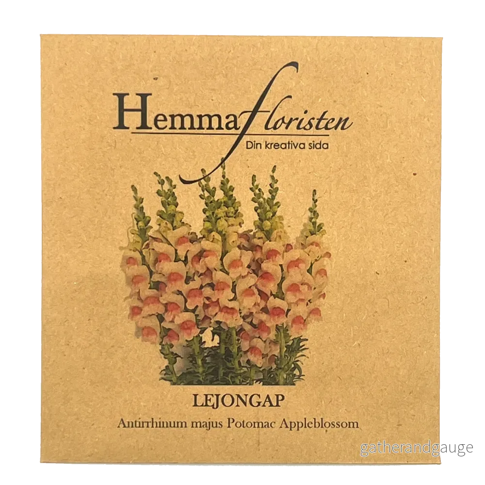 Lejongap – Potomac Appleblossom