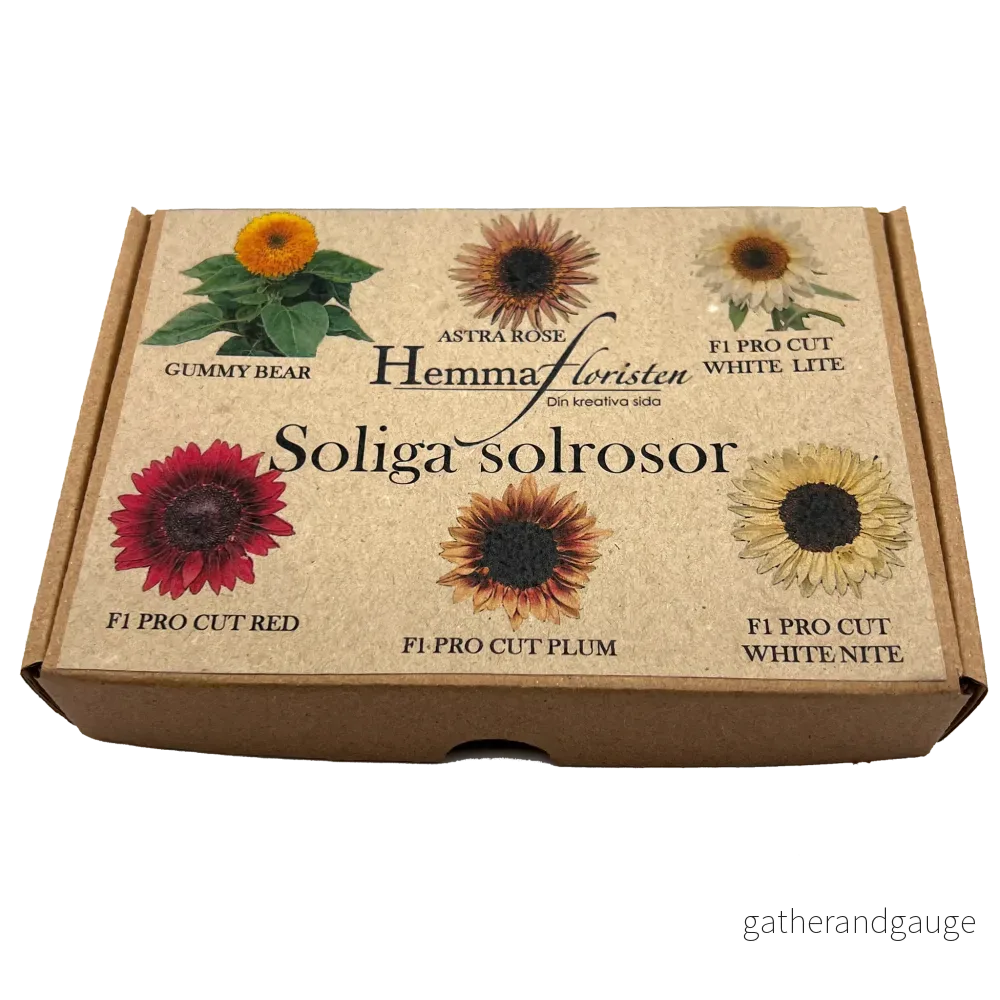 Fröbox Soliga solros Fröbox Soliga solros