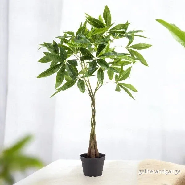 Pachira aquatica konstgjord h90cm