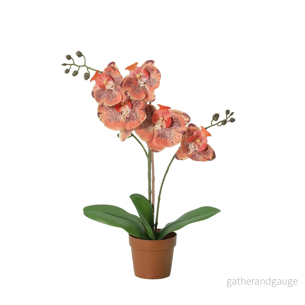 ARTIFICIAL Phalaenopsis orchid orange – 41cm ARTIFICIAL Phalaenopsis orchid orange – 41cm
