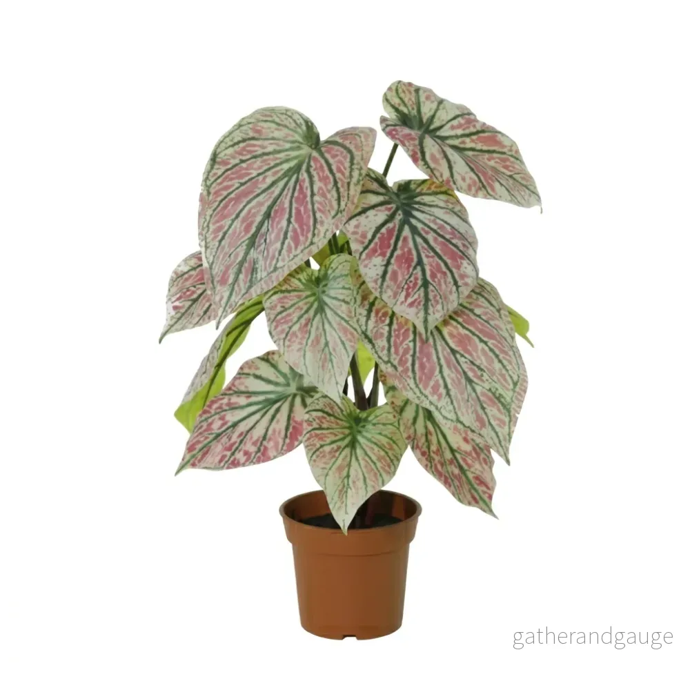 ARTIFICIAL Caladium green / pink – 57cm ARTIFICIAL Caladium green / pink – 57cm