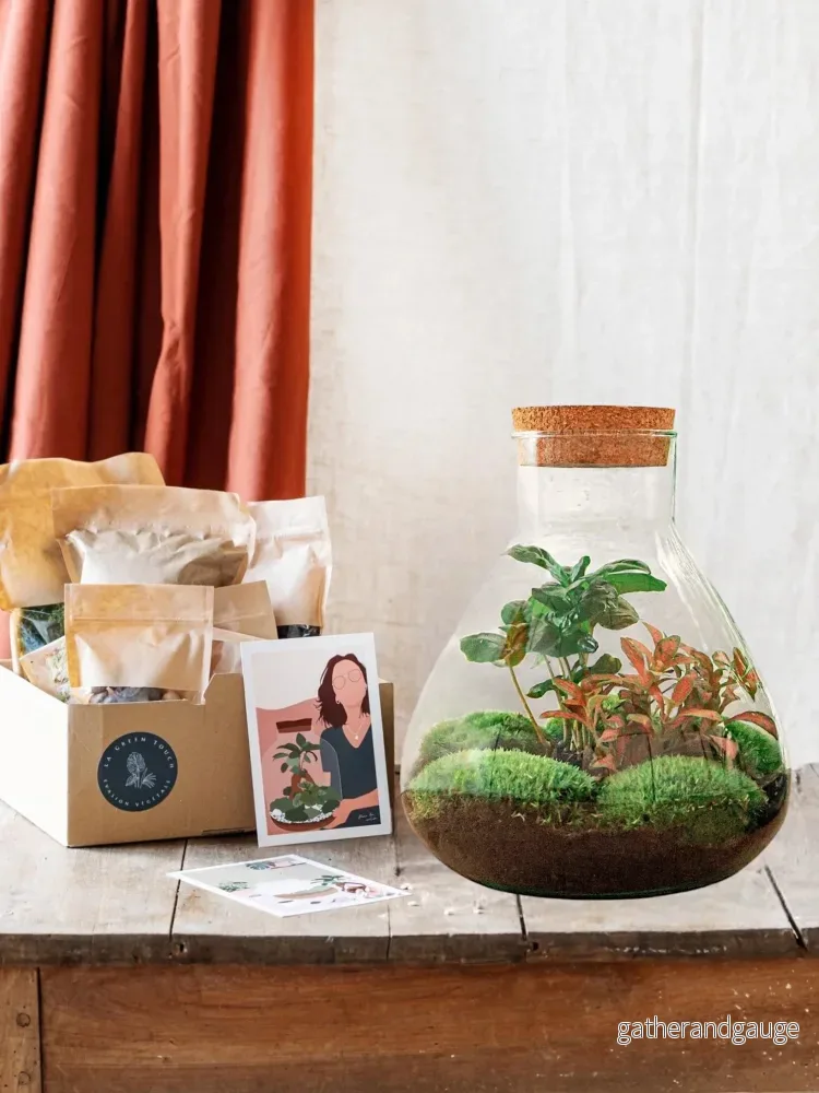 DIY Terrarium Kit – SAMA DIY Terrarium Kit – SAMA