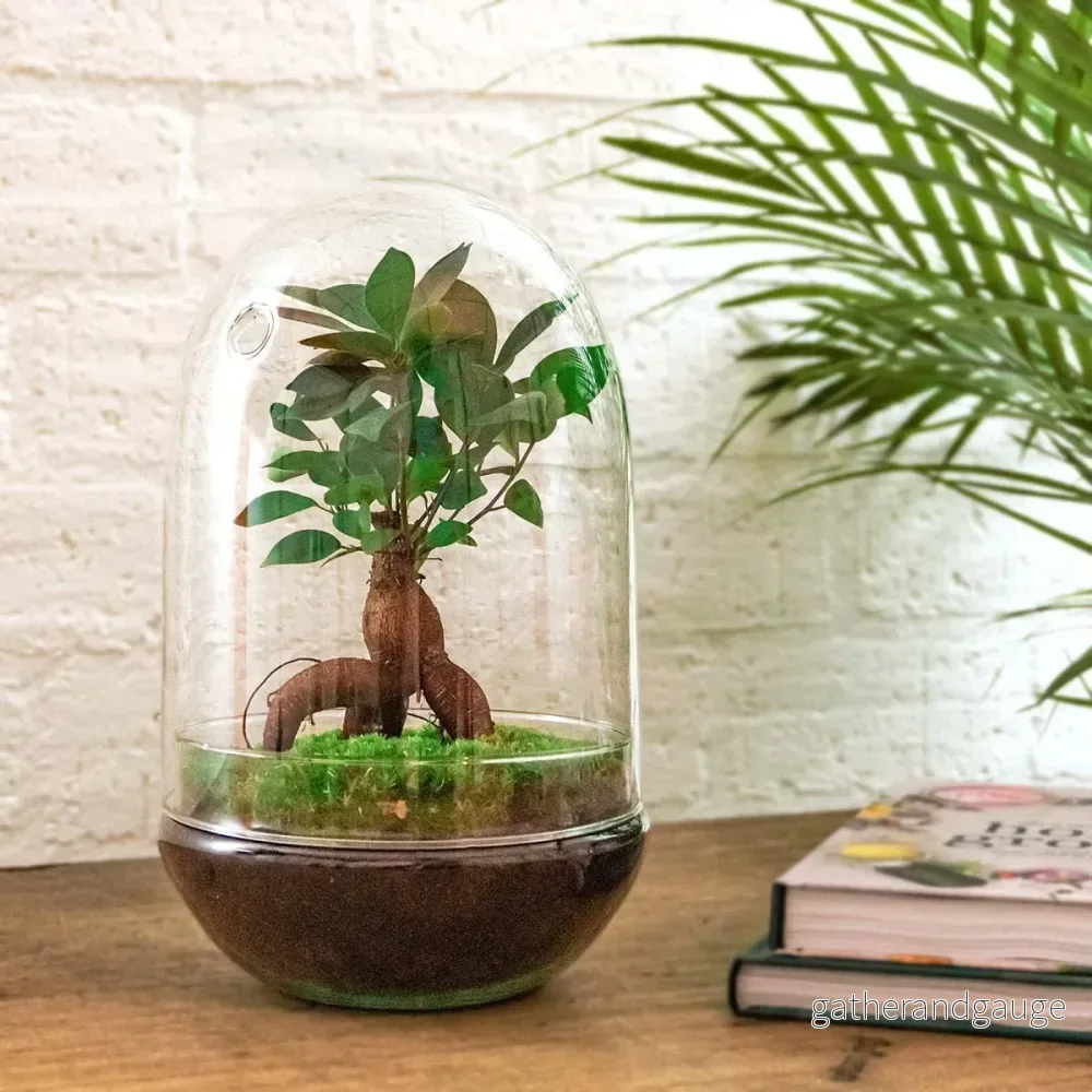 DIY Terrarium Kit - PARIS - Bild 2