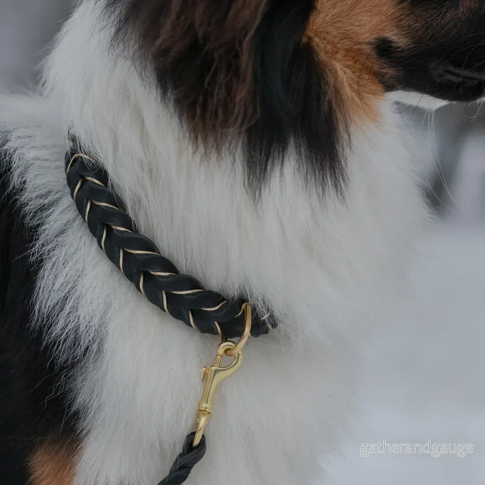 Enfärgat Fast halsband Svart - Bild 3