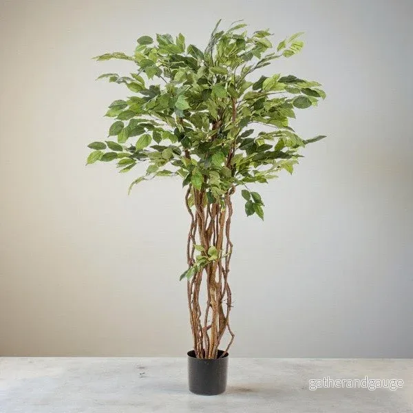 Konstgjord Ficus ranke h140cm