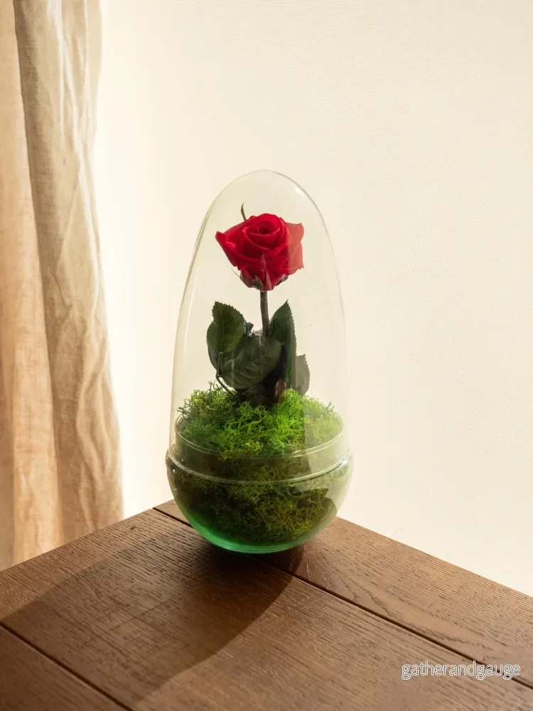 Terrarium Eviga Ros