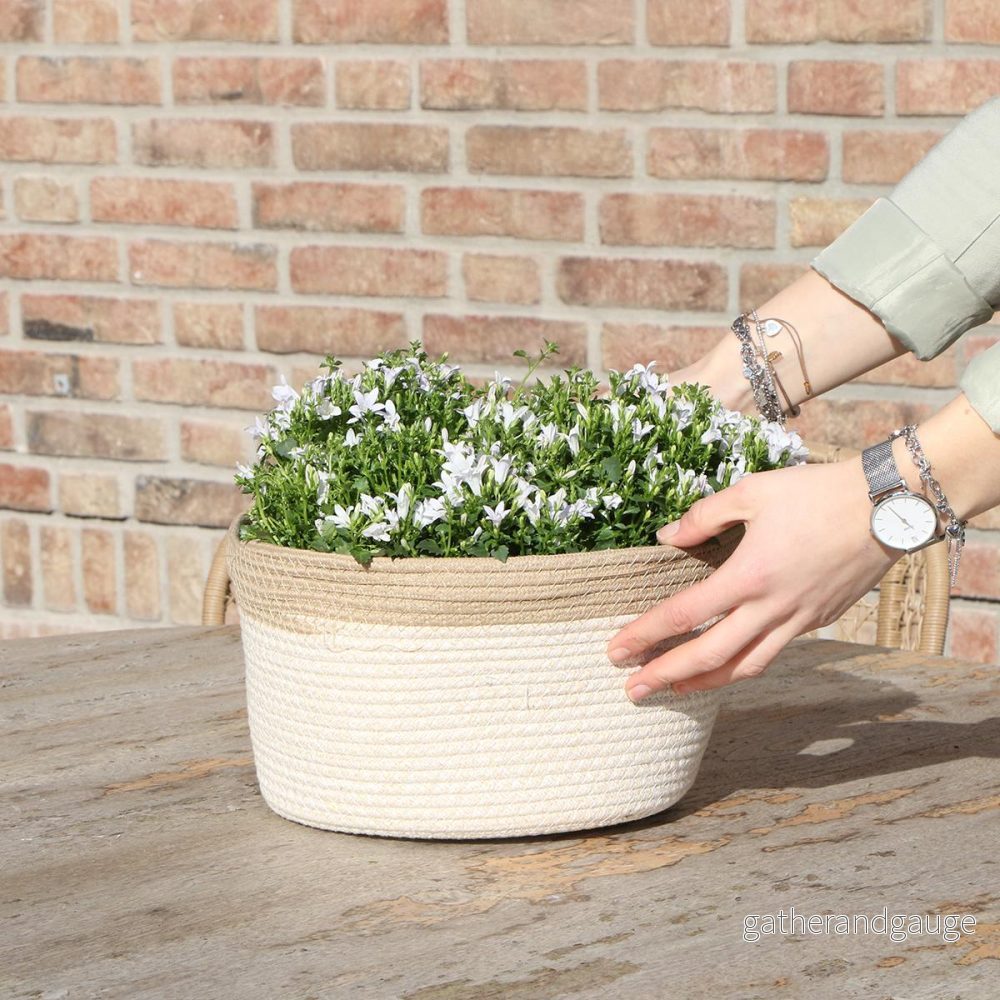 Campanula Addenda Vit Ambella i vävd korg med reservoar