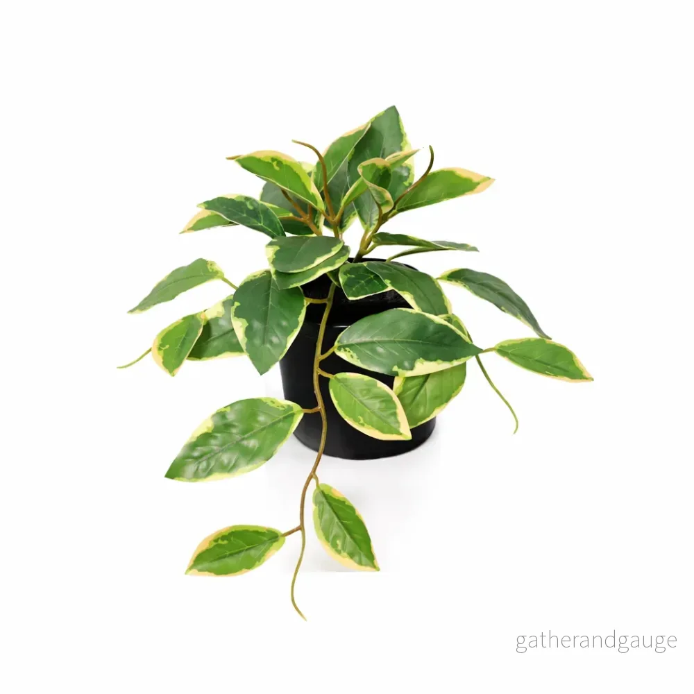 ARTIFICIAL Hoya Variegata – 23cm ARTIFICIAL Hoya Variegata – 23cm