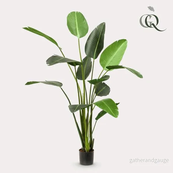 Konstplanta – Strelitzia Nicolai – Paradijsvogelbloem – 230cm Konstplanta – Strelitzia Nicolai – Paradijsvogelbloem – 230cm