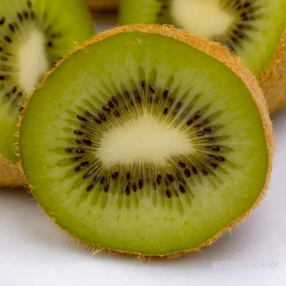 Kiwi (Actinidia Deliciosa) ’Jenny’ Kiwi (Actinidia Deliciosa) ’Jenny’