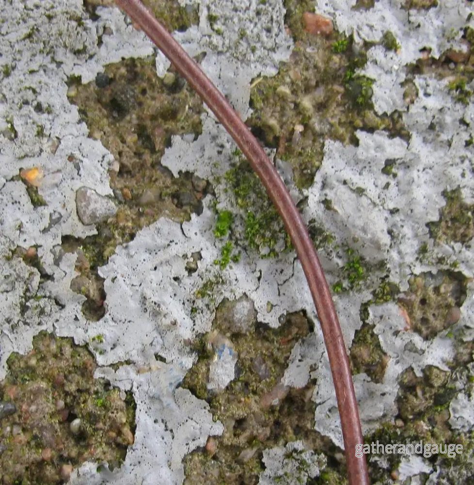 Läderband 1,5 mm - Brun, 1 m - Bild 2