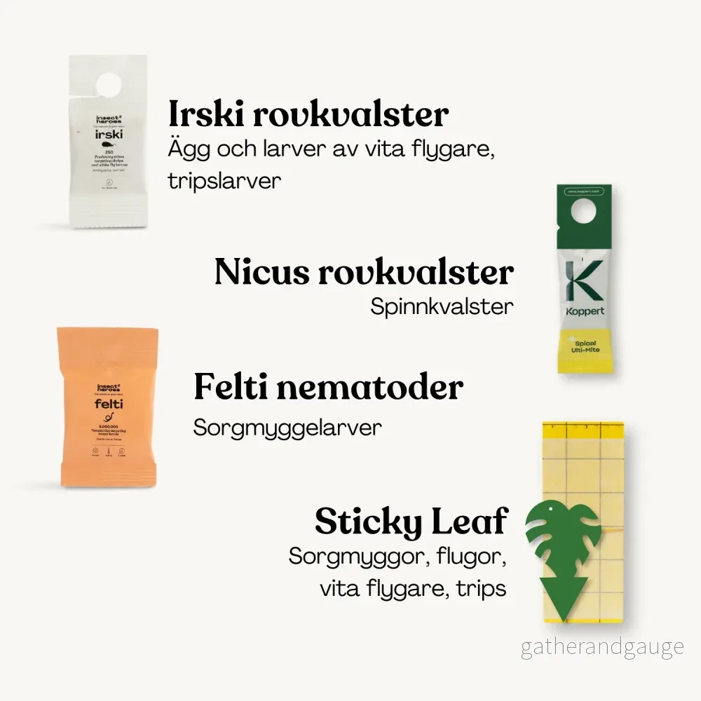 Protect Leaf Deal – förebygg skadedjur - Bild 3
