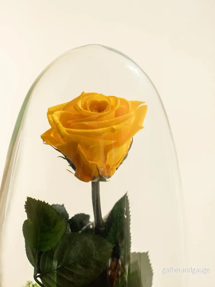 Terrarium Eviga Ros - Bild 3