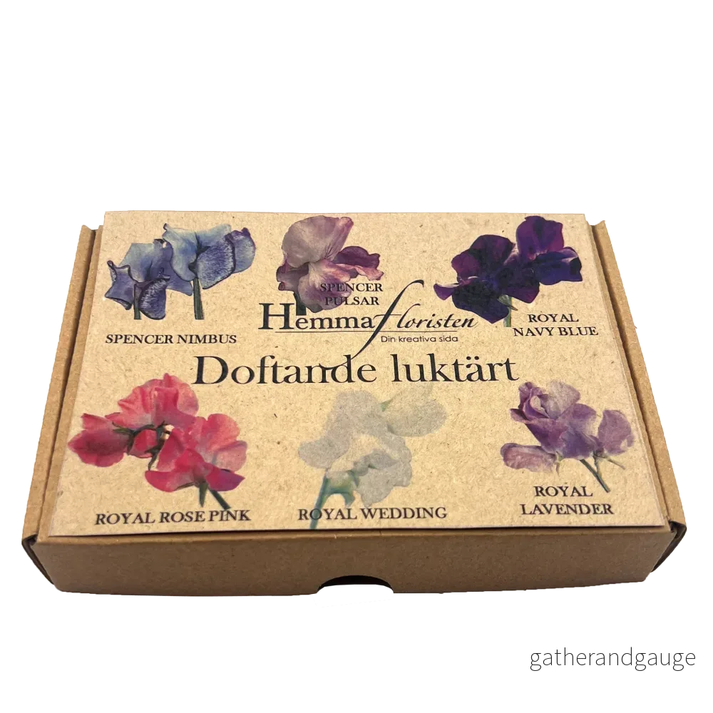 Fröbox Doftande luktärt Fröbox Doftande luktärt