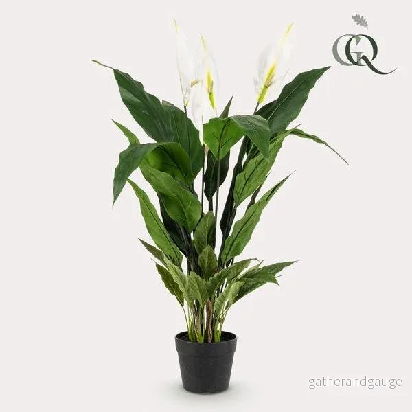 Spathiphyllum - konstgjord månskära - Bild 2