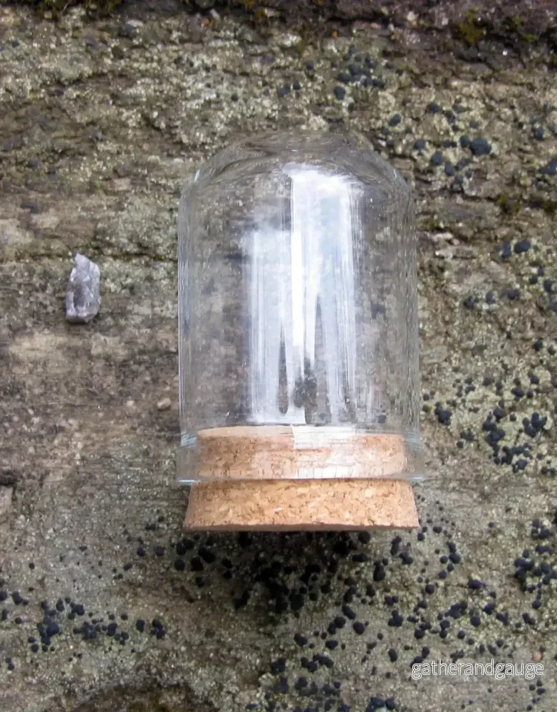 Glaskupol - Hög Cylinderformad med Kork Botten 37x22mm 1 styck