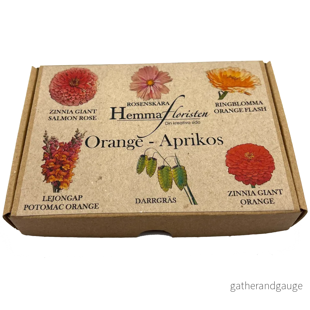 Fröbox Orange – Aprikos