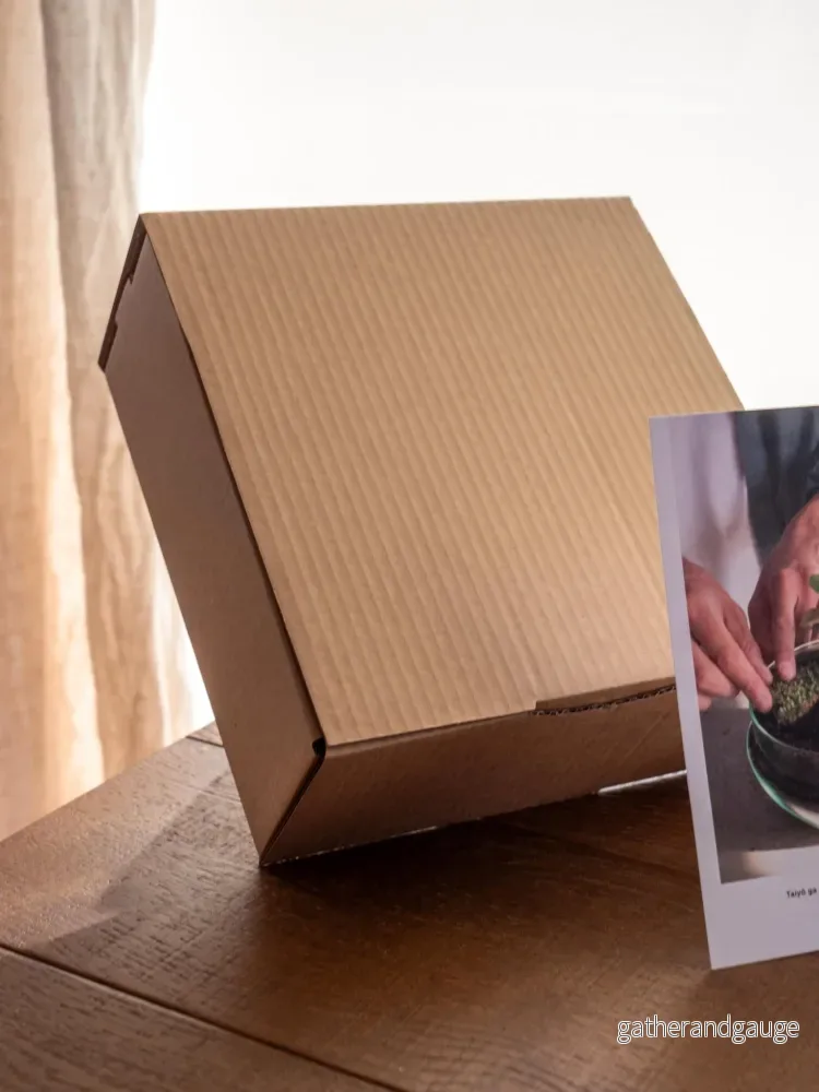 DIY Terrarium Kit - CORTICA - Bild 3