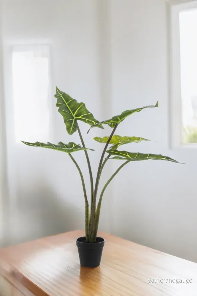 Konstgjord Alocasia Konstgjord Alocasia