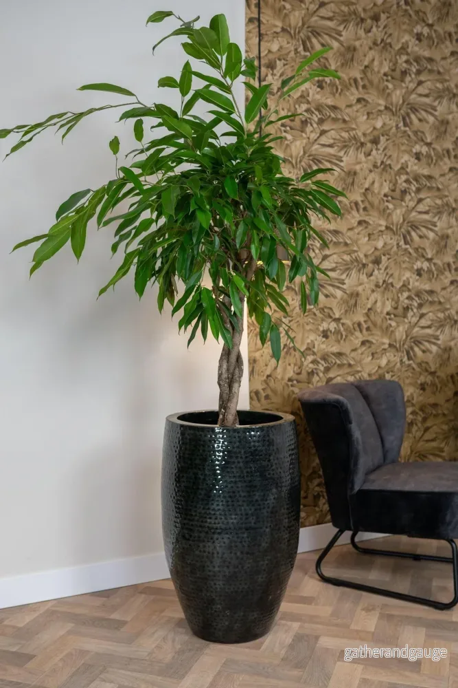 Set med 3 krukor - Thom Black metall - Stora Thom Black Pots - Bild 3