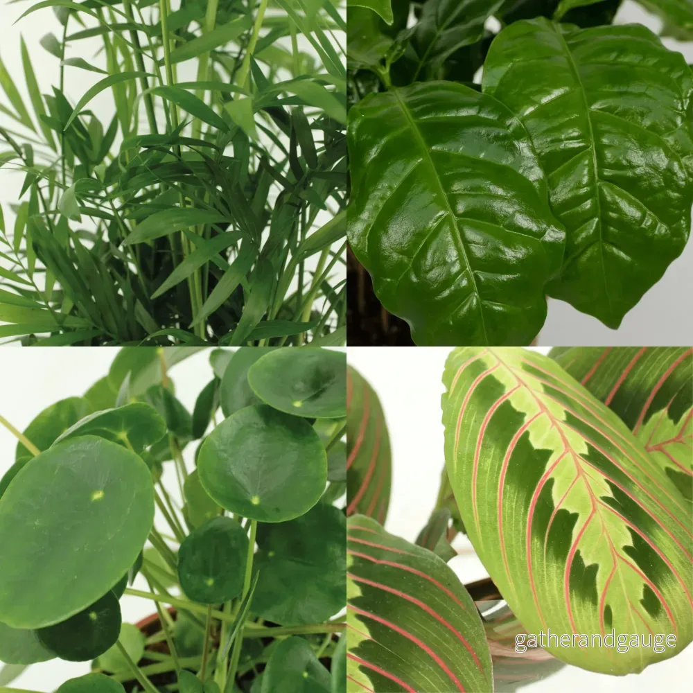 Djurvänlig växtlåda - Set med 4 plantor - Bild 3
