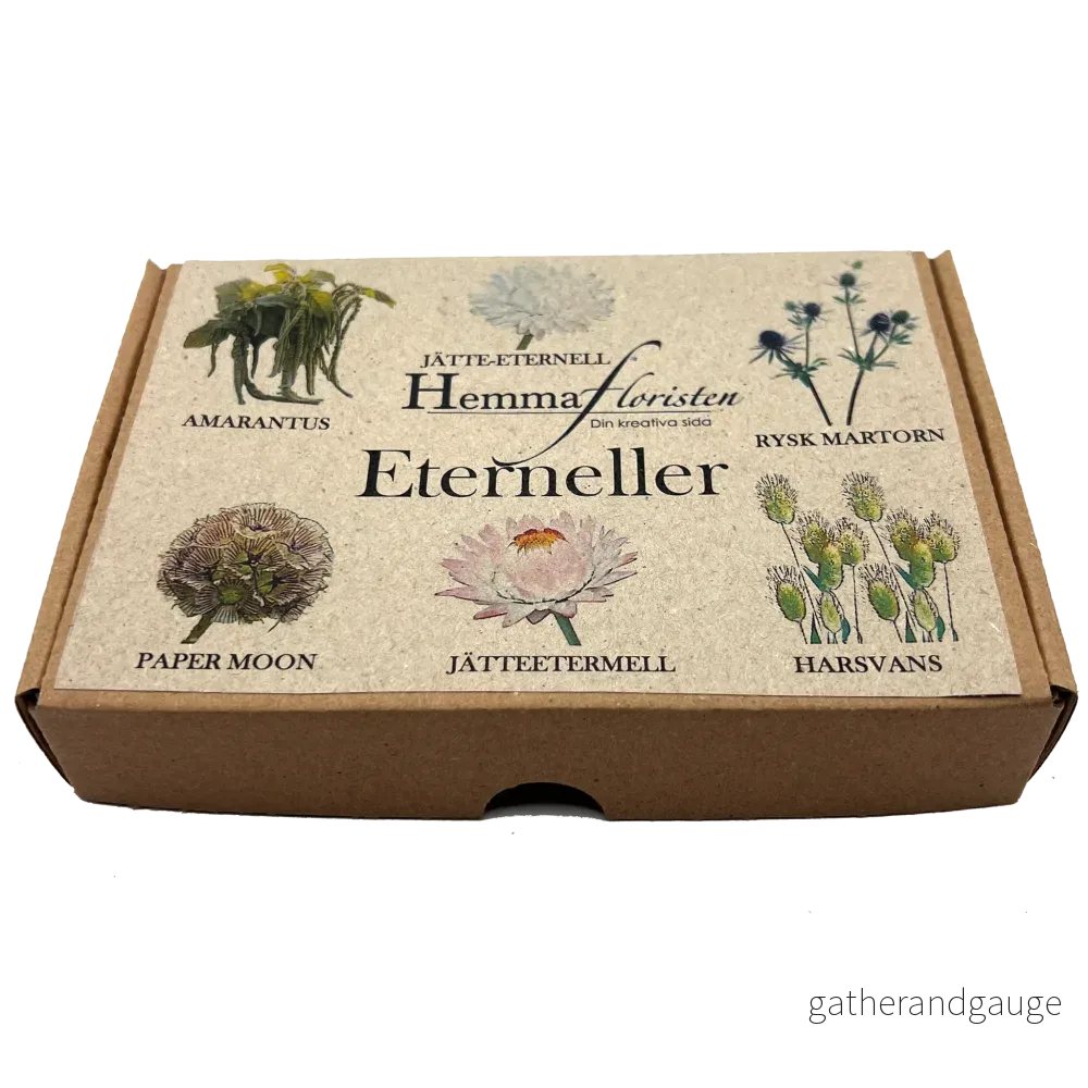 Fröbox Eterneller Fröbox Eterneller