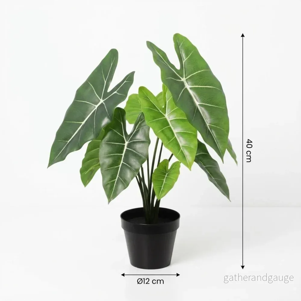 Alocasia polly artificiel h40cm - Bild 3