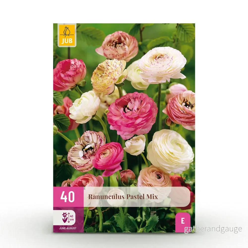 Green boutiQ – Bloembollen – Ranunculus Pastel Mix – Diversen Kleuren – 40 stuks – Bolmaat 5/6 – XXL Pack