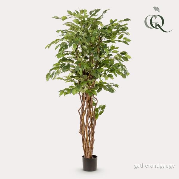 Ficus Liana artificiel h170cm Ficus Liana artificiel h170cm