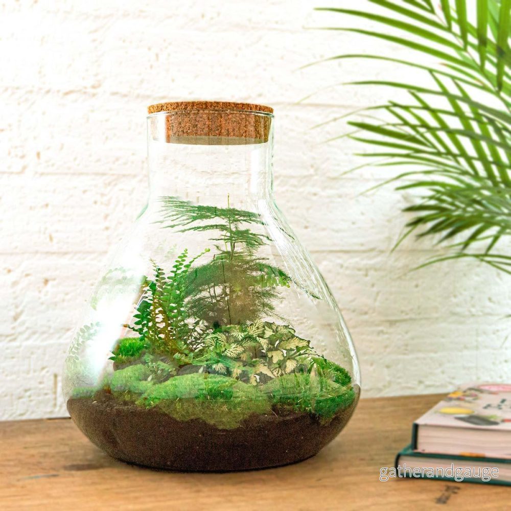 DIY Terrarium Kit - SAMOS - Bild 3