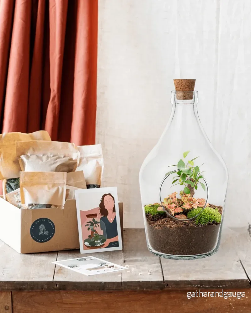 DIY Terrarium Kit – JOYT DIY Terrarium Kit – JOYT