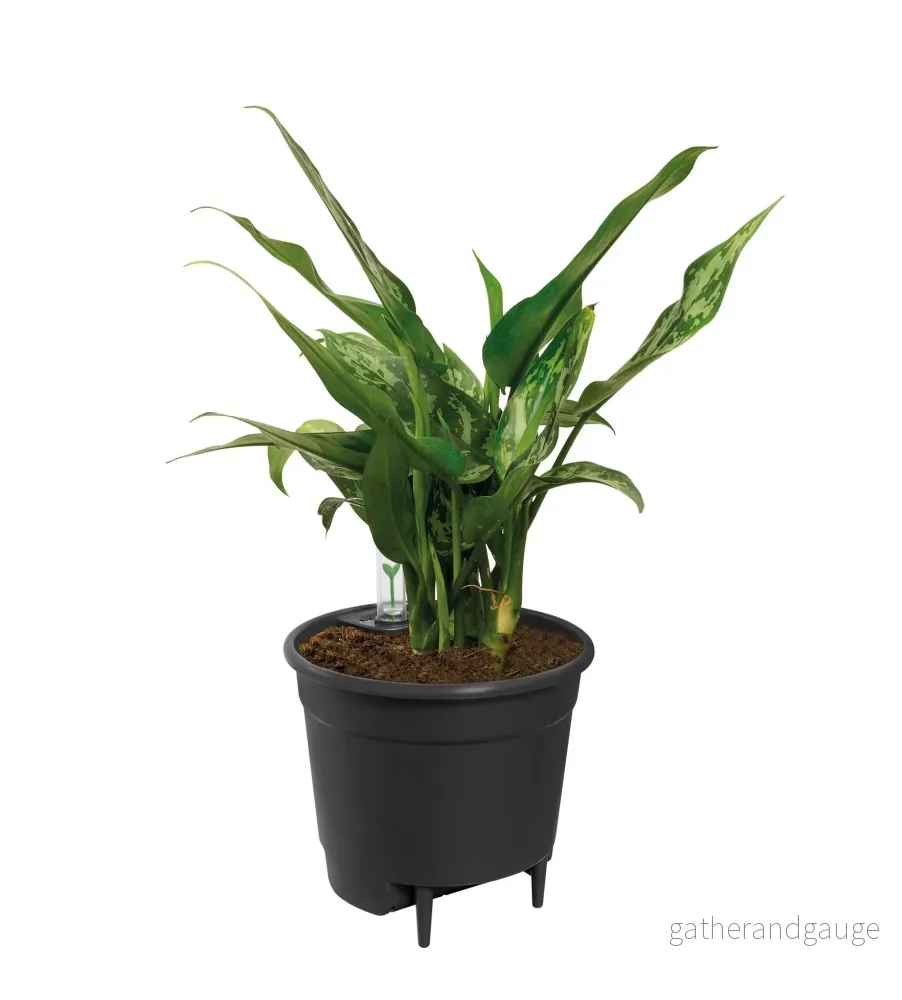 Fristående insats - 36 cm - Bild 3
