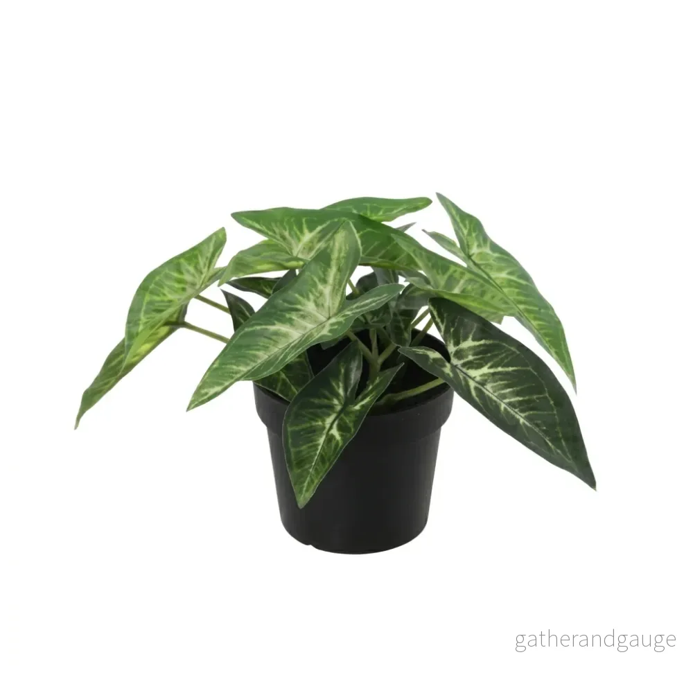 ARTIFICIAL Syngonium – 15cm ARTIFICIAL Syngonium – 15cm