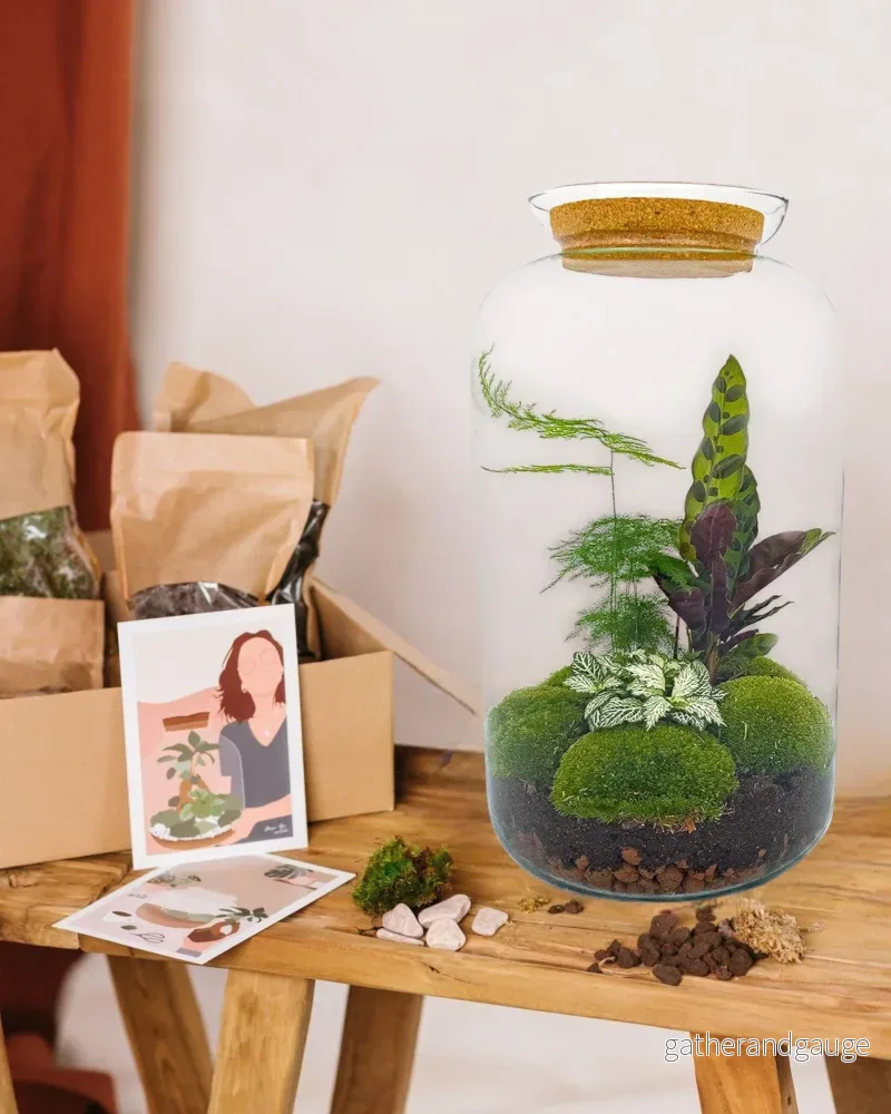 DIY Terrarium Kit – SALEN DIY Terrarium Kit – SALEN