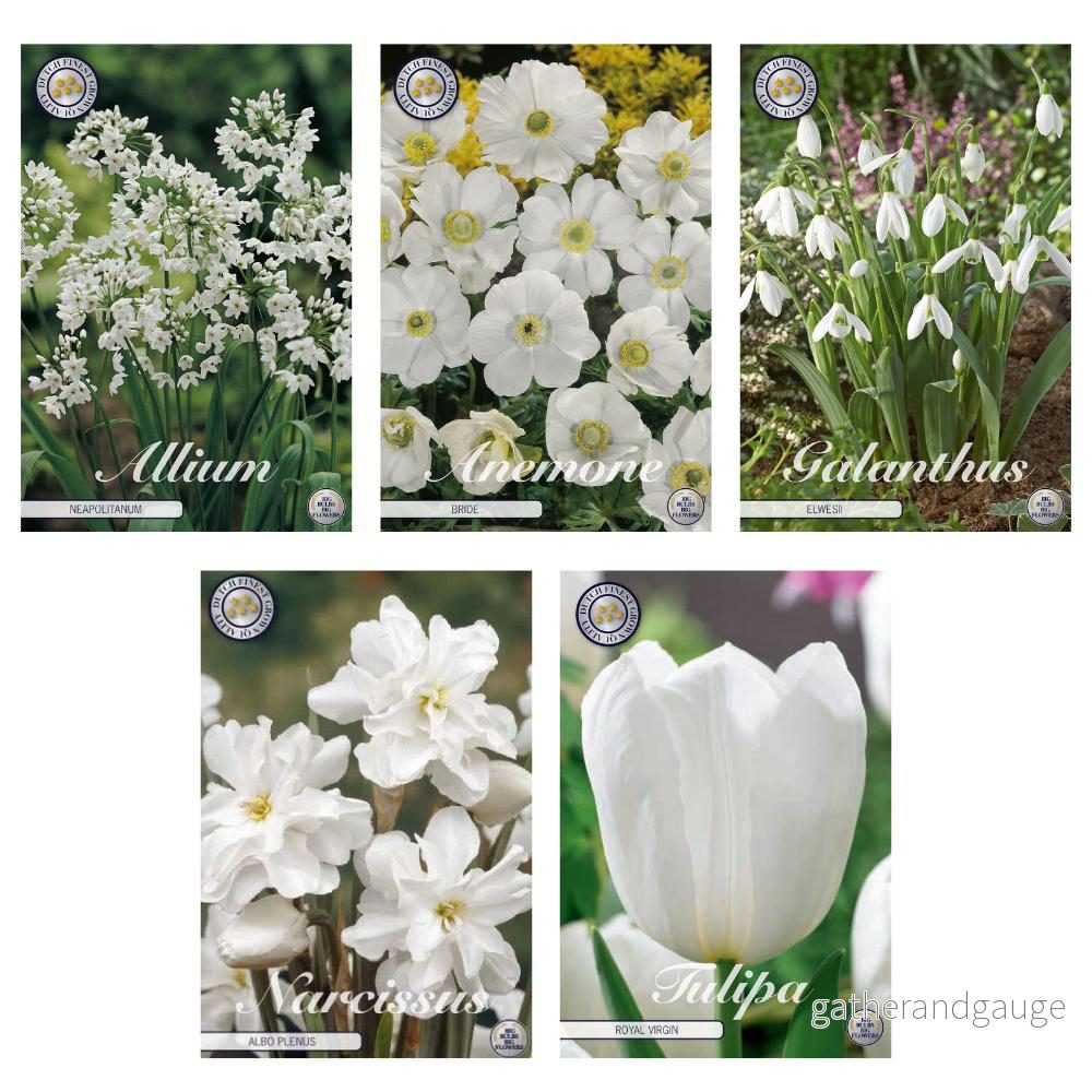 Lökmix: Allium, Anemone, Galanthus, Narcissus, Tulpan – 62 lökar Lökmix: Allium, Anemone, Galanthus, Narcissus, Tulpan – 62 lökar
