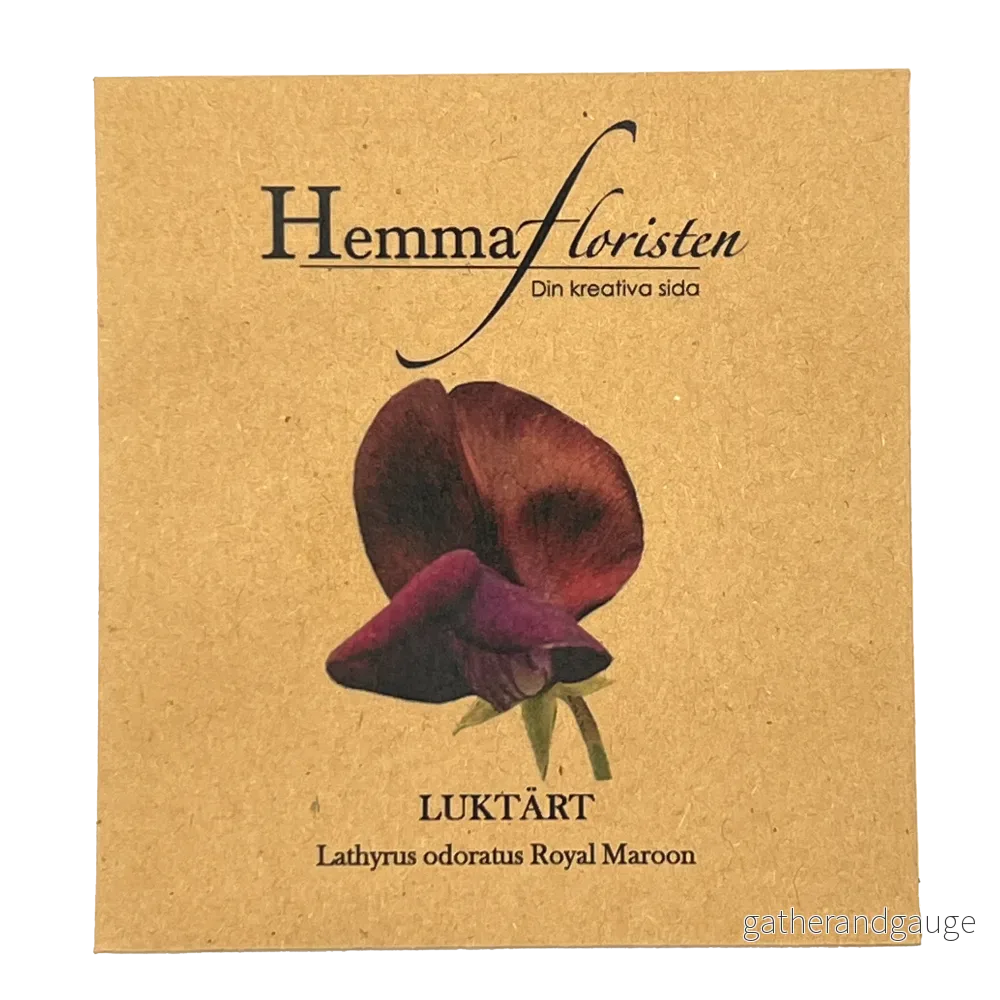Luktärt –  Royal Maroon
