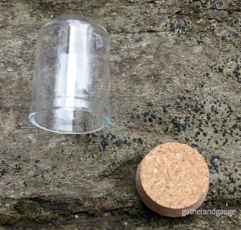 Glaskupol - Hög Cylinderformad med Kork Botten 37x22mm 1 styck - Bild 3