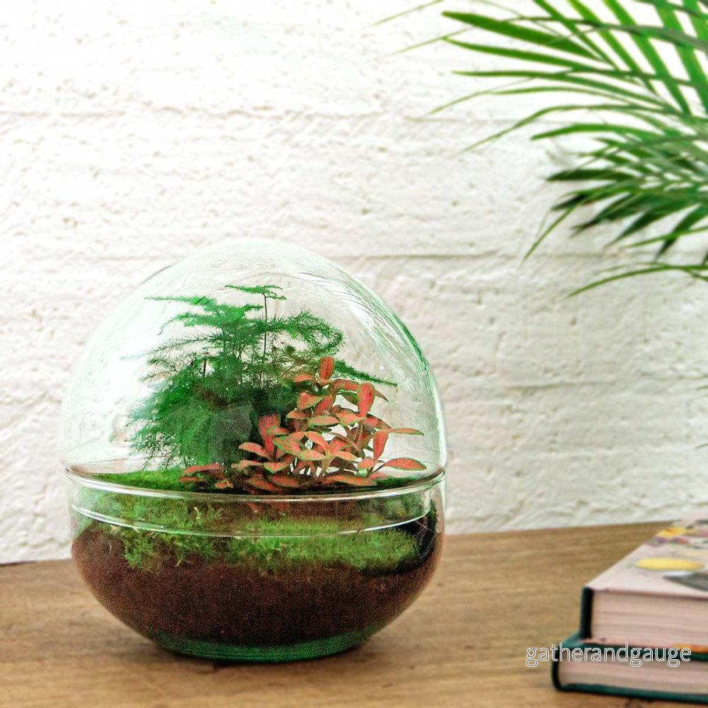 DIY Terrarium Kit - DOME - Bild 2