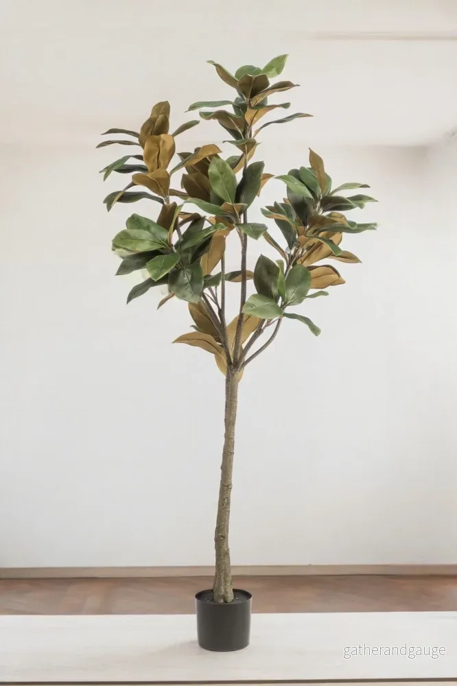 Magnolia Grandiflora konstgjord växt – h150cm, Ø15cm Magnolia Grandiflora konstgjord växt – h150cm, Ø15cm