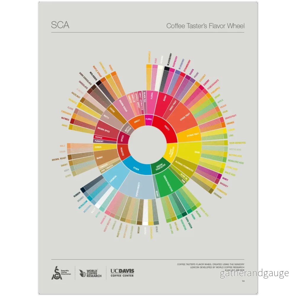 English -The Coffee Taster’s Flavor Wheel Poster -SCA English -The Coffee Taster’s Flavor Wheel Poster -SCA