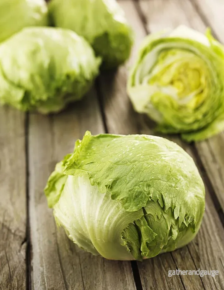Sallad isbergs Sallad isbergs