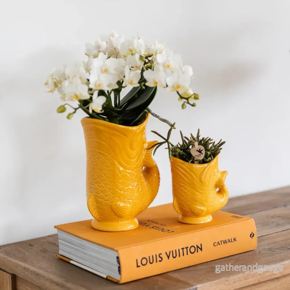 Kolibri Orchids | Set van witte orchidee Nazaré i succulent in Fish sierpot oranje – potmaat Ø9cm & Ø6cm | bloeiende kamerplant – vers van de kweker Kolibri Orchids | Set van witte orchidee Nazaré i succulent in Fish sierpot oranje – potmaat Ø9cm & Ø6cm | bloeiende kamerplant – vers van de kweker