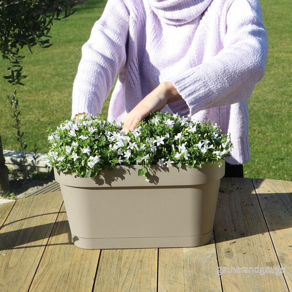 Campanula Addenda vit – Balkonbak taupe – 3 krukor ingår Campanula Addenda vit – Balkonbak taupe – 3 krukor ingår
