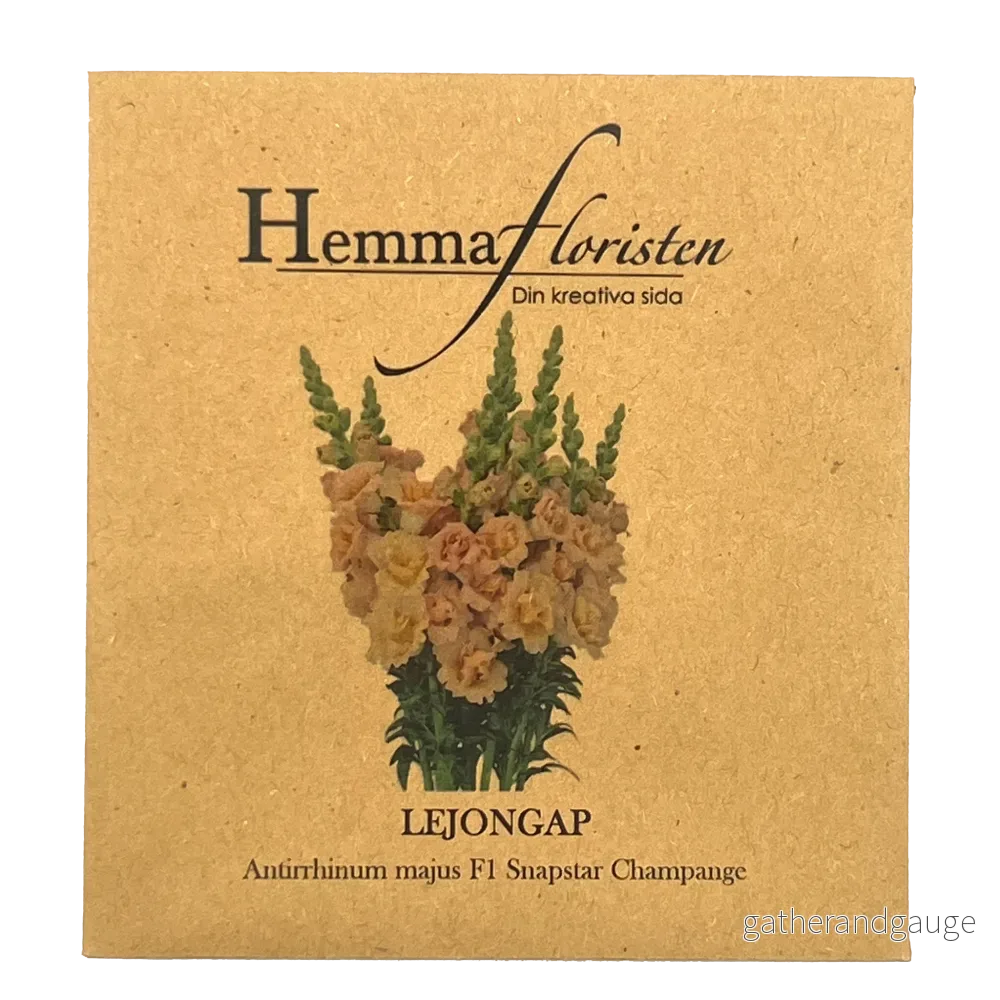 Lejongap – F1 Snapstar Champagne