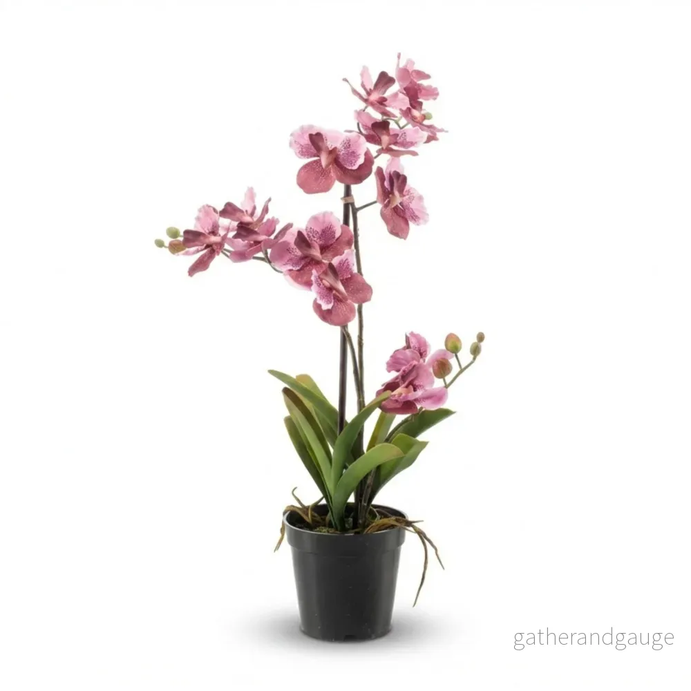 Orchidee Vanda artificielle h60cm - Bild 3