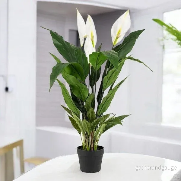 Spathiphyllum - konstgjord månskära